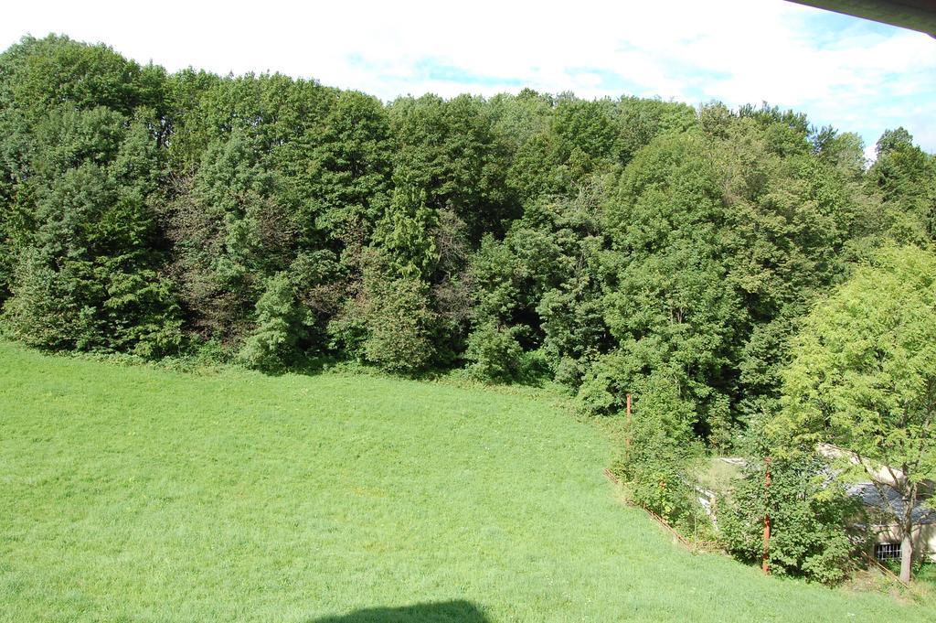 Penzion U Mustku Jiriho Rasky Trojanovice Rum bild